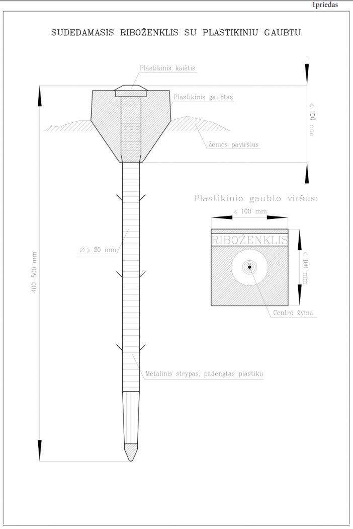 priedas 1 ribozenklis